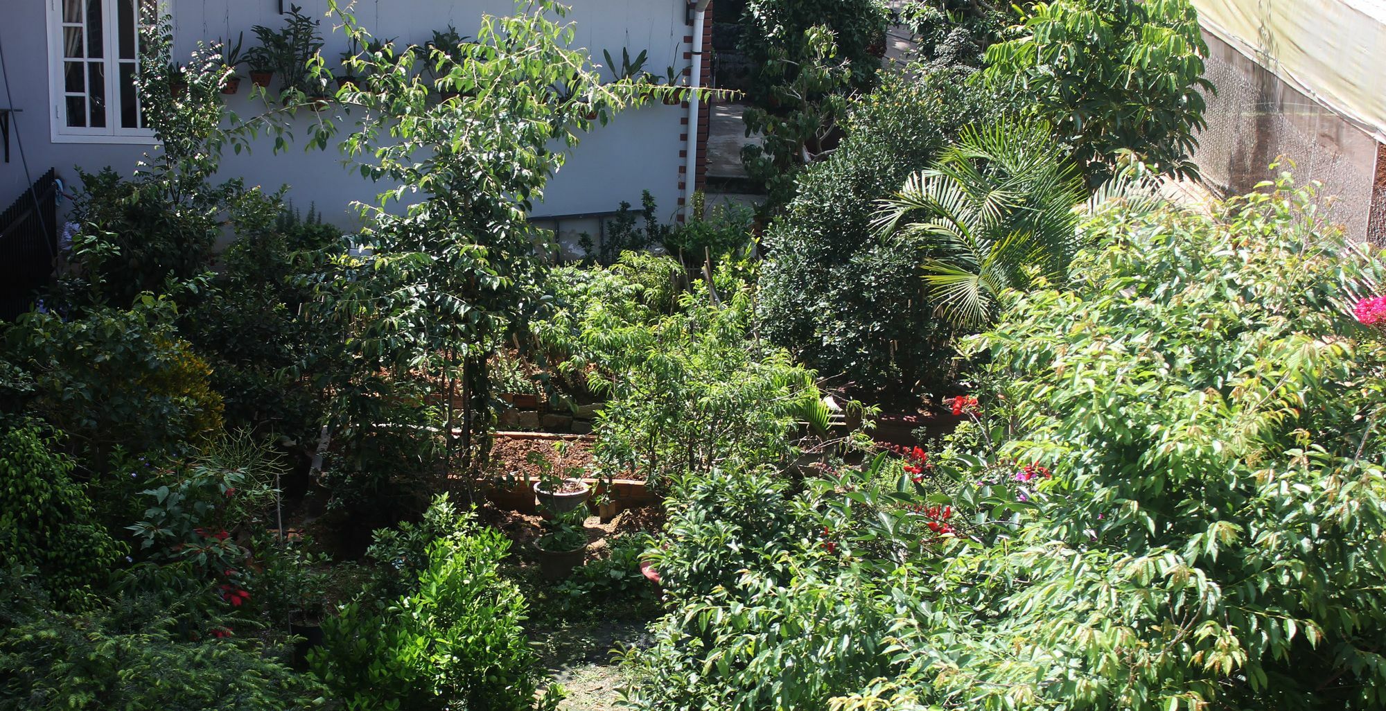 Tree House Hostel Da Lat Exterior foto